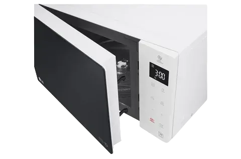 MS-2024J